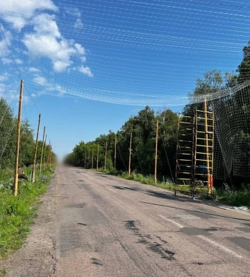 На прикордонні Сумщини почали будувати «антидронові тунелі» для транспортних маршрутів