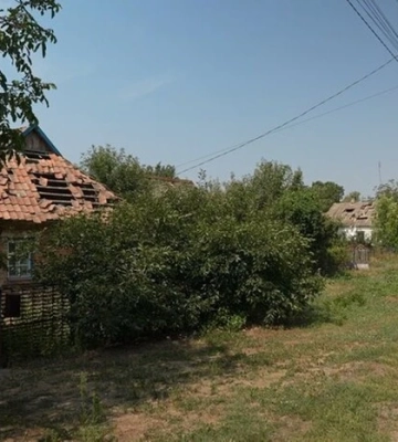 У одному із сіл Запорізької області жінку покусав шакал