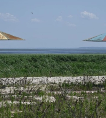 Територію Каховського водосховища регулярно охоплює вогонь - екоінспекція