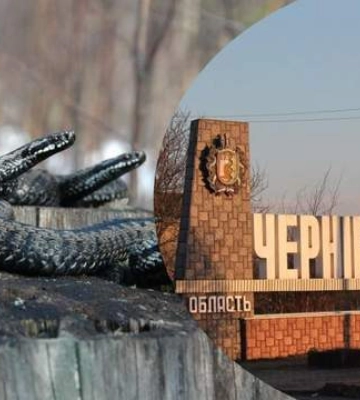 Які змії живуть на Буковині та як серед них розпізнати отруйну