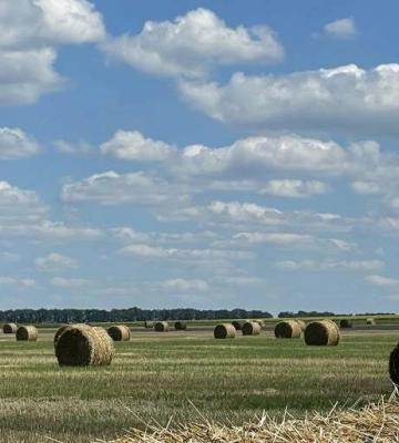 У неділю в Полтаві буде сонячно та без опадів