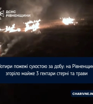 Чотири пожежі сухостою за добу: на Рівненщині згоріло майже 3 гектари стерні та трави