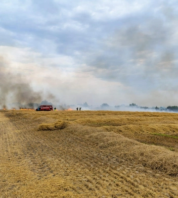 На Ковельщині невідомі підпалили стерню