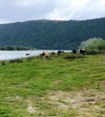 17 гектарів заповідної землі на Тернопільщині незаконно віддали громаді