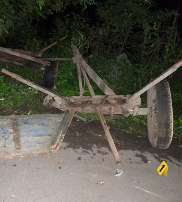 На Львівщині госпіталізували травмовану 11-річну пасажирку кінної підводи