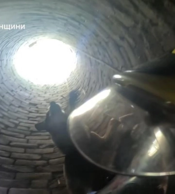На Рівненщині з криниці врятували наляканого пса (ВІДЕО)