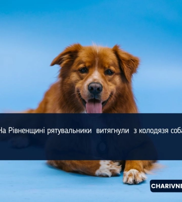 На Рівненщині рятувальники  витягнули  з колодязя собаку