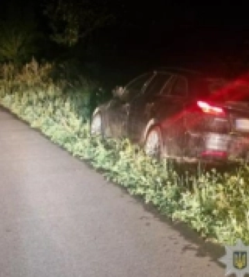 На Львівщині травмована 11-річна пасажирка кінної підводи