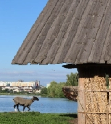 У Рівному на Оствиці проведуть благодійний пікнік на підтримку військових