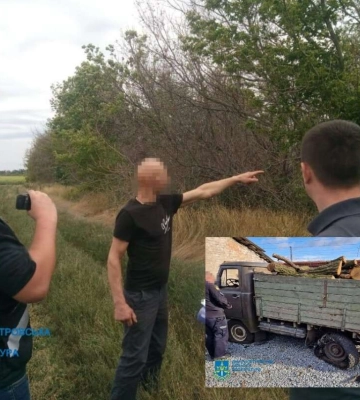 1,4 млн ущерба: в Днепропетровской области разоблачили полицейского, который руководил &quot;черными лесорубами&quot;