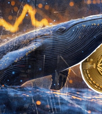 Невідомий «кит» скупив Ethereum майже на $1 мільярд за тиждень