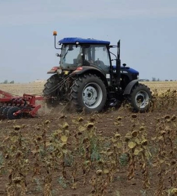 На Миколаївщині катастрофічний неврожай через посуху: фермери фіксують збитки, сподіваючись на компенсацію