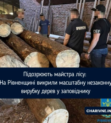 Підозрюють майстра лісу: На Рівненщині викрили масштабну незаконну вирубку дерев у заповіднику