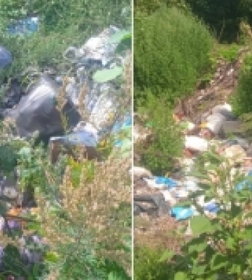 Несанкціоновані сміттєзвалища виявили в Олицькій громаді