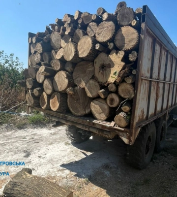 Незаконна вирубка лісу на понад мільйон гривень - на Дніпропетровщині викрито злочинну групу