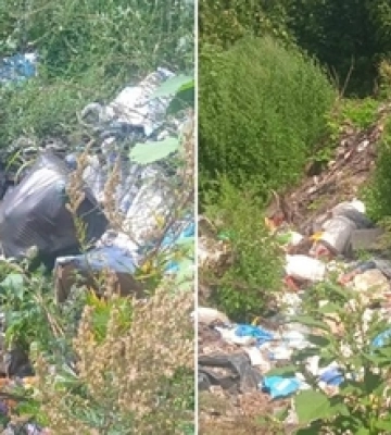 На околицях сіл на Волині виявили стихійні сміттєзвалища