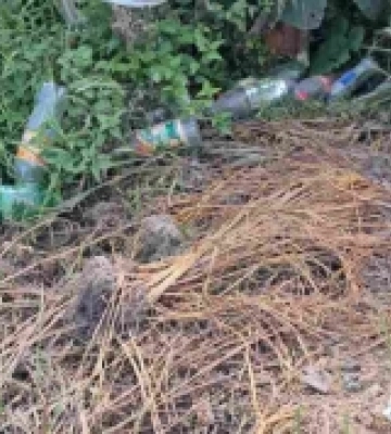 На околицях сіл на Волині виявили стихійні сміттєзвалища
