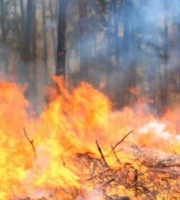 Через спеку на Полтавщині оголосили найвищий рівень пожежної небезпеки