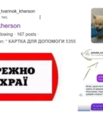 Відома блогерка натрапила на шахраїв, які нібито допомагають херсонським тваринам: що відомо про аферистів