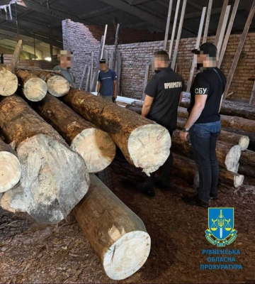 На Рівненщині майстер лісу зі спільниками вирізали дерев на майже 1 млн грн
