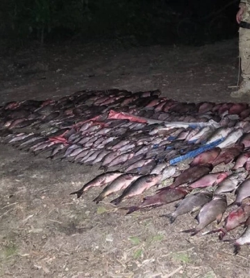 На Черкащині у заказнику посеред ночі затримали неповнолітніх браконьєрів