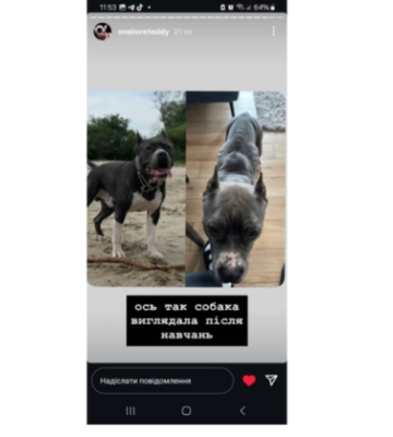 Киевляне требуют проверить кинологический центр Dogland by Loktionov из-за подозрений в издевательствах над собаками
