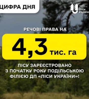 Речові права на 4,3 тис. га лісу зареєстровано з початку року Подільською філієюДП «Ліси України»