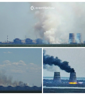 В МАГАТЭ оценили опасность от пожара возле ЗАЭС