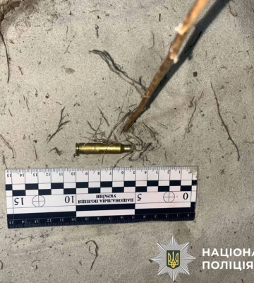 На Київщині чоловік застрелив сусідського алабая