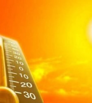 Увага, Закарпаття! Наближається пік пожежної небезпеки — рятувальники закликають до обережності