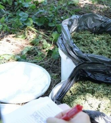 На Полтавщині викрили організовану наркогрупу з доходом понад 1,5 млн грн на місяць