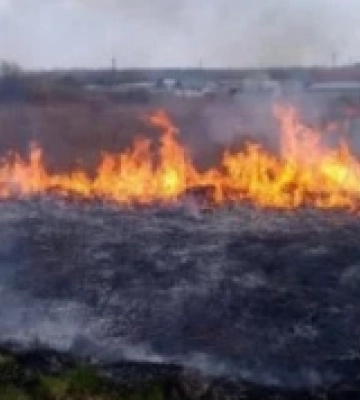 На Кіровоградщині зафіксовали більше 1300 пожеж у природних екосистемах
