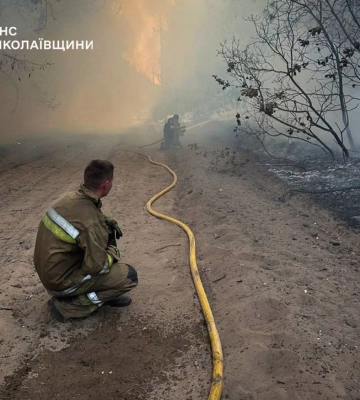 Масштабный лесной пожар в урочище выжег 93 гектара на Николаевщине