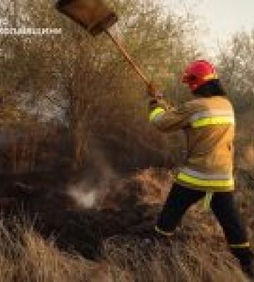 На Миколаївщині горіло 93 гектари