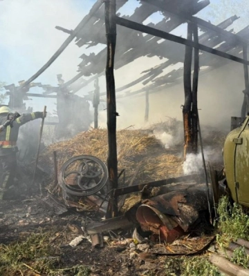 На Одещині вогонь з поля перекинувся на приватне господарство