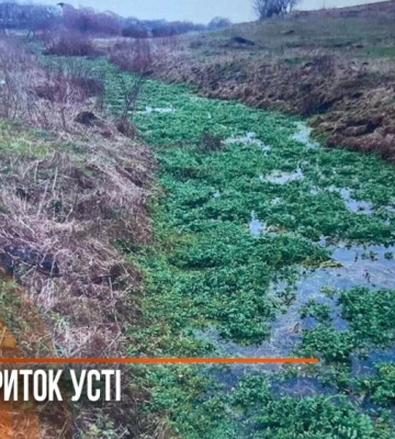 Порятунок приток Усті: як очищуватимуть річки Боярчик і Тиннівська у Рівному (ВІДЕО)