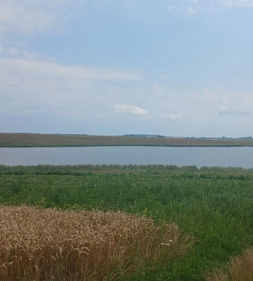 На 10 років: на Волині віддають в оренду комунальний ставок площею понад 13 гектарів. Фото
