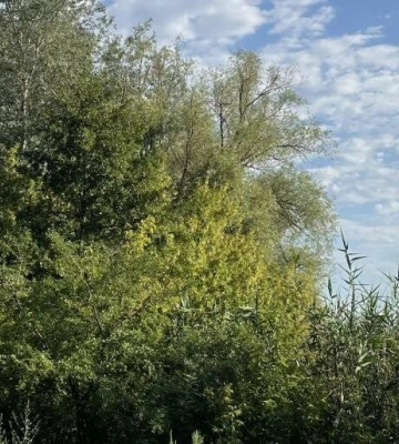 На Полтавщині буде мінлива хмарність без опадів