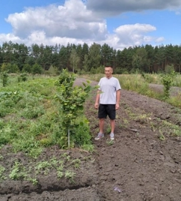Після війни знайшов справу для душі – ветеран з Волині вирощує кукурудзу та фундук 