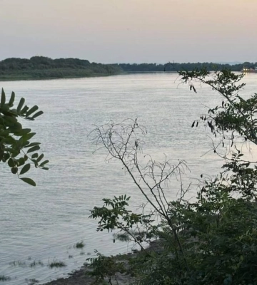 Рівні воді на українській ділянці Дунаю дещо підвищились: що прогнозують гідрометеорологи