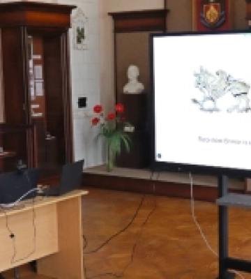 У Кропивницькому відбувся вебінар про археологічну спадщину в музейних колекціях