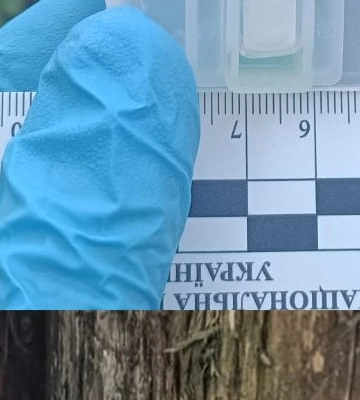 Викрили наркодилерку з Ізмаїла: розкладала &quot;закладки&quot; з психотропами в Болграді