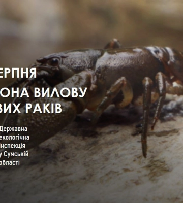 На Сумщині заборонили ловити раків