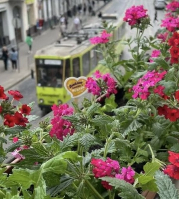 15 найгарніших квітучих балконів та підвіконь у Львові. Серед переможців лише один чоловік