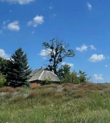 На Полтавщині буде до 26º спеки