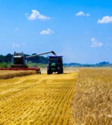 На фінішній прямій: Львівщина завершує збирання ранніх зернових та ріпаку