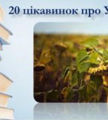 На Донеччині створили культурно-освітній проєкт до Дня Прапора та Дня Незалежності України
