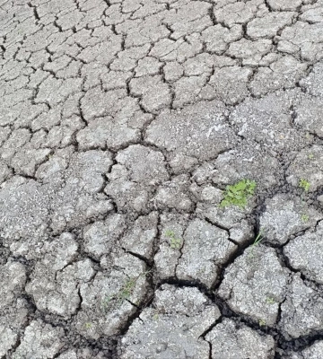 Мариуполь на грани водной катастрофы: Старокрымское водохранилище почти высохло