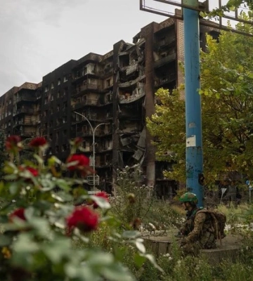 Символ незламності чи зради? Фото троянд у Покровську обурило українців