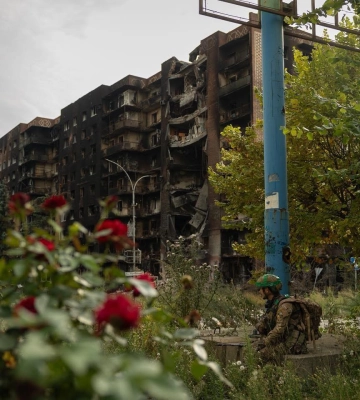 &quot;Могильные цветы&quot;: украинцев в сети возмутило фото роз в Покровске